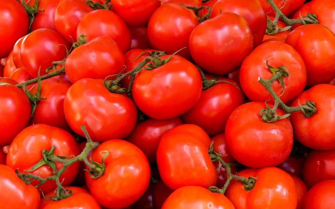 TIPS para un tomate sano